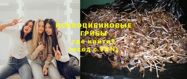 MDMA Premium VHQ Верея
