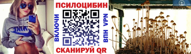Галлюциногенные грибы мухоморы  Дмитровск 